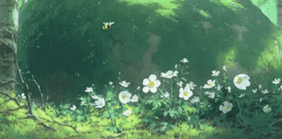 A Bunch Of Flowers Are Growing In The Grass Near A Rock GIF