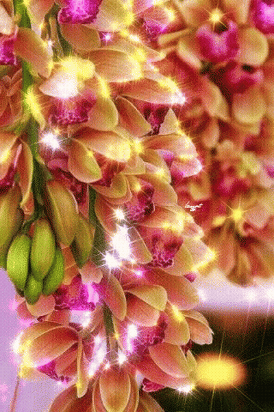 A Bunch Of Flowers Are Hanging From A Tree With Sparkles Coming Out Of Them GIF
