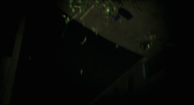 A Bunch Of Flowers Falling From The Ceiling GIF