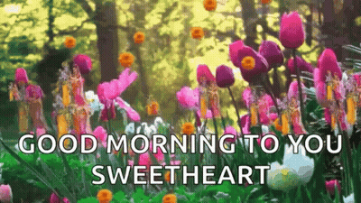A Bunch Of Flowers In A Garden With The Words `` Good Morning To You Sweetheart '' Written On It . GIF