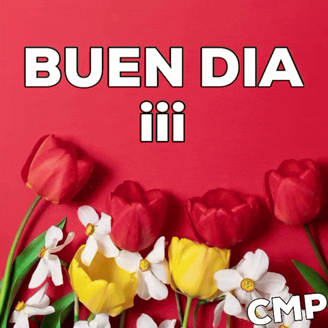 A Bunch Of Flowers On A Red Background That Says Bueno Dia GIF