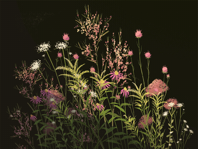 A Bunch Of Flowers With A Black Background GIF