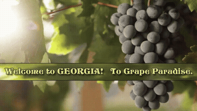 A Bunch Of Grapes Hanging From A Vine With The Words Welcome To Georgia GIF