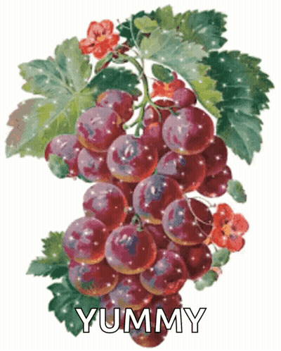 A Bunch Of Grapes With The Word Yummy Written Below Them GIF