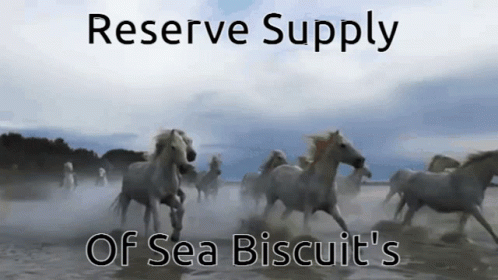 A Bunch Of Horses Running In A Field With The Words Reserve Supply Of Sea Biscuit 'S On The Bottom GIF