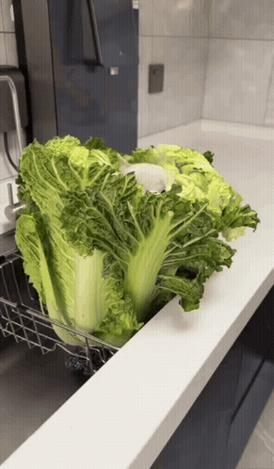 A Bunch Of Lettuce Is Sitting On A Counter In A Kitchen GIF