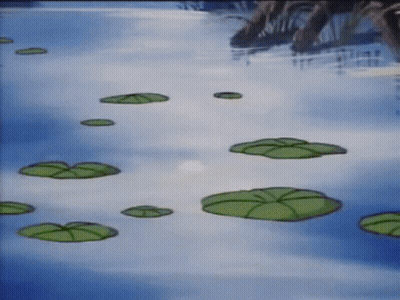 A Bunch Of Lily Pads Are Floating In A Pond . GIF
