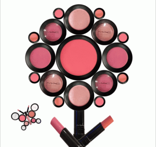 A Bunch Of Mac Cosmetics Are Arranged In A Flower Shape GIF