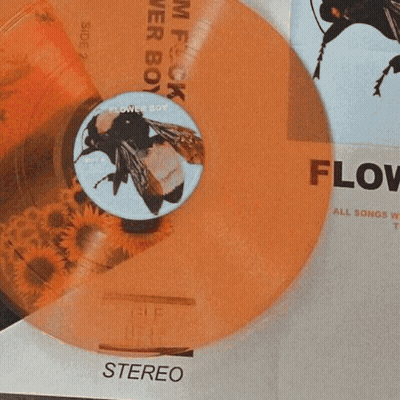 A Bunch Of Orange Flowers Are Sitting On A White Surface GIF
