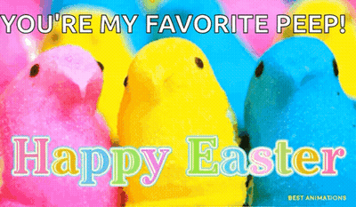 A Bunch Of Peeps Are Sitting Next To Each Other On A Pink And Yellow Background . GIF