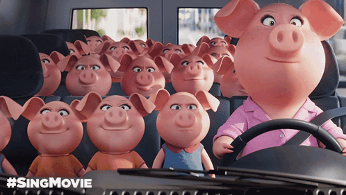 A Bunch Of Pigs Are Sitting In A Car With #Singmovie Written On It GIF