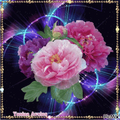 A Bunch Of Pink And Purple Flowers With Yanina Avalos Written On The Bottom GIF