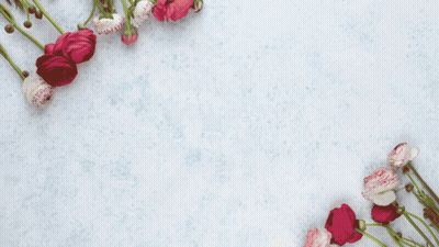 A Bunch Of Pink And White Flowers Are Surrounded By Pink Hearts GIF