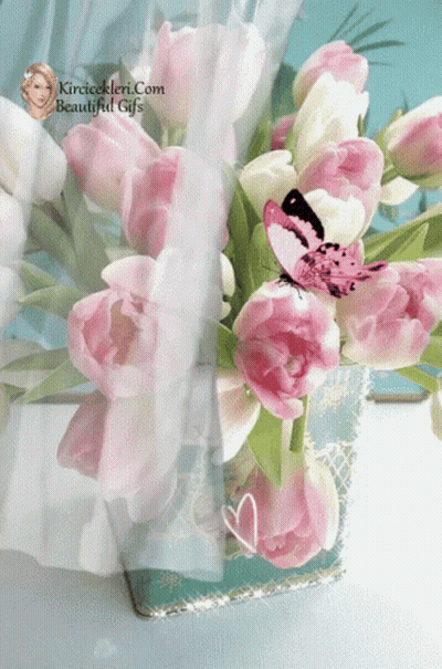 A Bunch Of Pink And White Flowers In A Vase With A Butterfly On It GIF