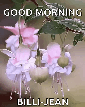 A Bunch Of Pink And White Flowers With The Words `` Good Morning Billi-Jean '' Written On Them . GIF