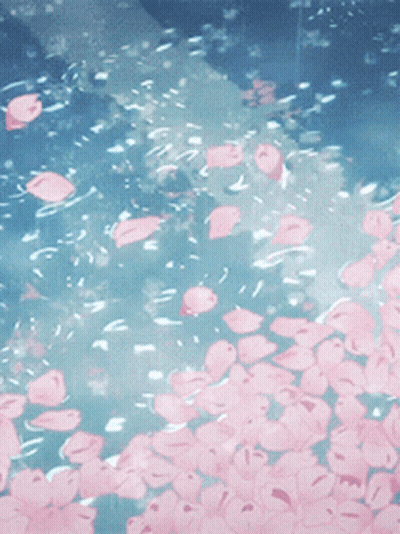 A Bunch Of Pink Flowers Are Floating In A Body Of Water GIF