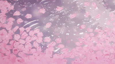 A Bunch Of Pink Flowers Are Floating In The Water . GIF