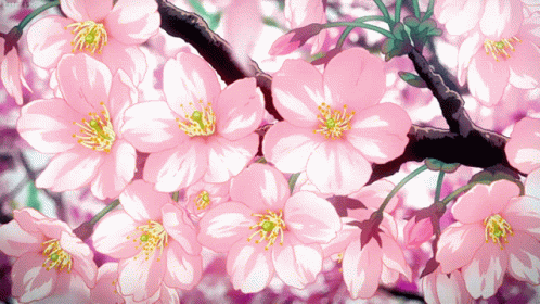 A Bunch Of Pink Flowers Are Hanging From A Tree GIF