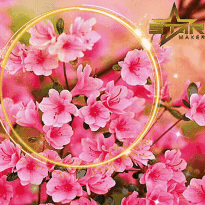 A Bunch Of Pink Flowers Are Surrounded By A Yellow Circle That Says Star Mark GIF