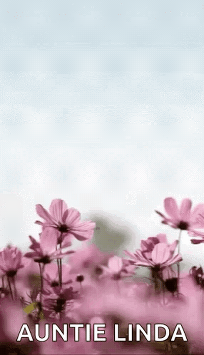 A Bunch Of Pink Flowers With The Words `` Auntie Linda '' On The Bottom . GIF