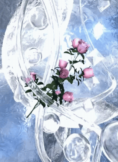 A Bunch Of Pink Roses Are Floating In A Glass GIF
