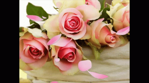 A Bunch Of Pink Roses Are In A Basket GIF
