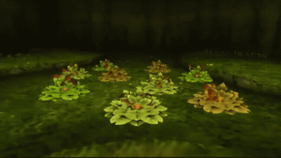 A Bunch Of Plants With Holes In Them Are Sitting In The Grass GIF