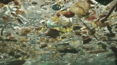 A Bunch Of Plastic Bottles Are Floating In The Ocean . GIF