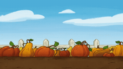 A Bunch Of Pumpkins And Pears In Front Of A Fence GIF