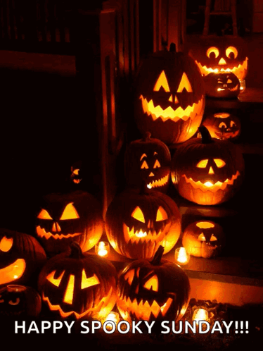 A Bunch Of Pumpkins Are Lit Up With The Words Happy Spooky Sunday Written Below Them GIF
