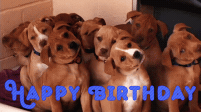 A Bunch Of Puppies Are Sitting Next To Each Other With The Words Happy Birthday Written On The Bottom GIF