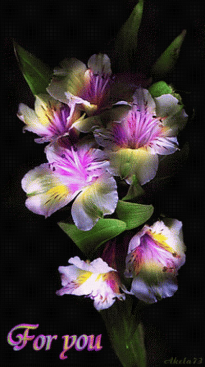 A Bunch Of Purple And White Flowers With The Words For You On The Bottom GIF