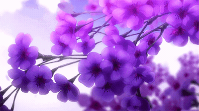 A Bunch Of Purple Flowers Are Hanging From A Tree Branch GIF