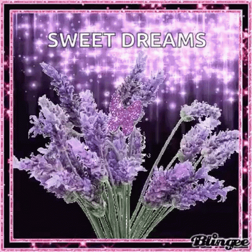 A Bunch Of Purple Flowers On A Purple Background With The Words `` Sweet Dreams '' . GIF