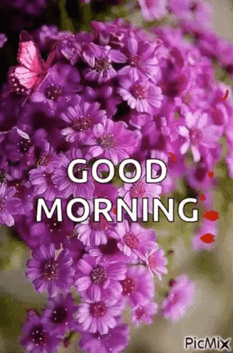 A Bunch Of Purple Flowers With A Butterfly On Top Of Them And The Words `` Good Morning '' . GIF