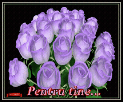 A Bunch Of Purple Roses With The Words Pentru Tine Written On The Bottom GIF