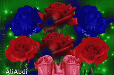 A Bunch Of Red And Blue Roses With The Name Aliabdi On The Bottom GIF