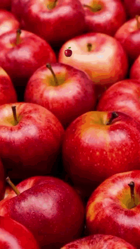 A Bunch Of Red Apples Sitting Next To Each Other On A Table . GIF