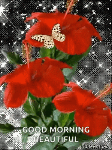 A Bunch Of Red Flowers With A Butterfly On Them . GIF