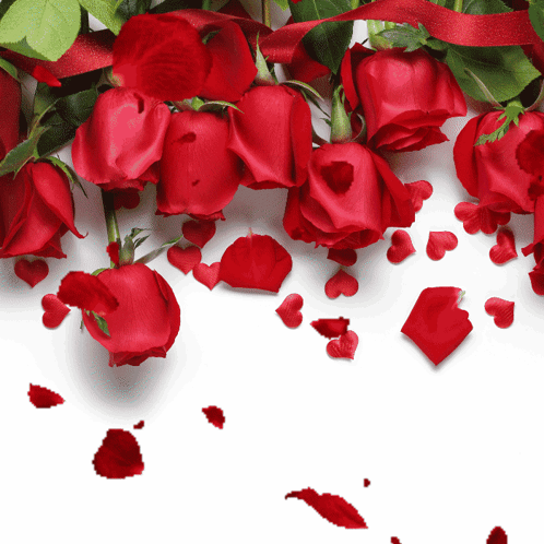 A Bunch Of Red Roses With Petals In The Shape Of Hearts GIF
