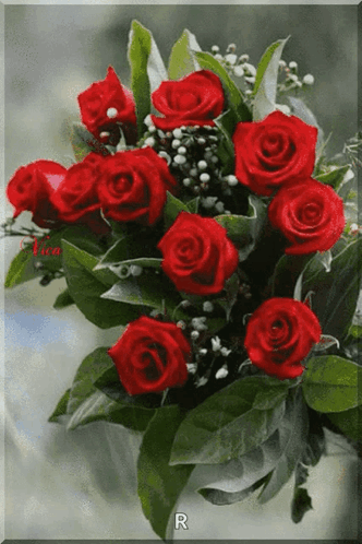 A Bunch Of Red Roses With The Letter R On It GIF