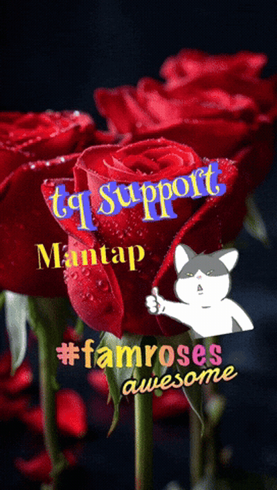 A Bunch Of Red Roses With The Words Tq Support Mantap #Famroses Awesome On The Bottom GIF
