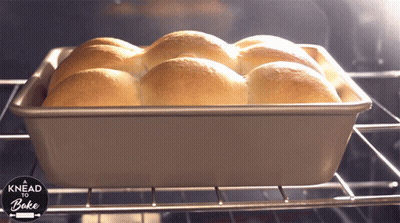 A Bunch Of Rolls In A Pan With Knead To Bake Written On The Bottom GIF