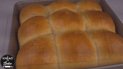 A Bunch Of Rolls In A Pan With The Words Knead To Bake On The Bottom GIF
