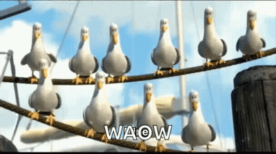 A Bunch Of Seagulls Are Sitting On A Wire And The Word Waow Is Visible GIF