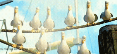 A Bunch Of Seagulls Sitting On A Wire With The Website The-Weeping-Angel.tumblr.com Visible GIF