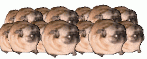 A Bunch Of Sheep Are Lined Up In A Row On A White Background GIF
