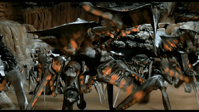 A Bunch Of Spiders Are Standing In A Cave GIF
