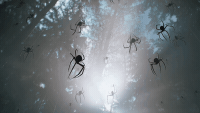 A Bunch Of Spiders Hanging From A Tree GIF