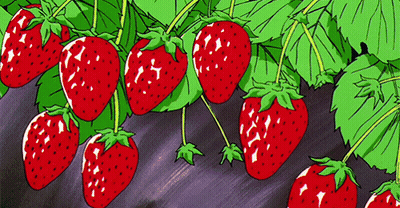 A Bunch Of Strawberries Are Growing On A Vine GIF